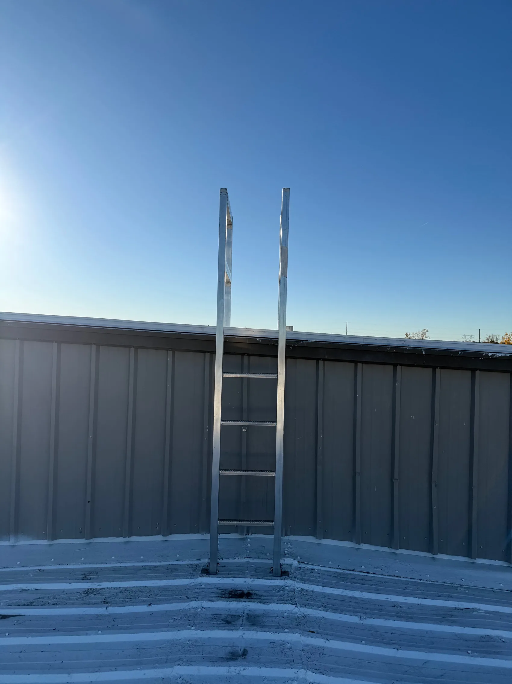 External aluminum caged ladder bolted to the building exterior, giving permanent code-compliant roof access.